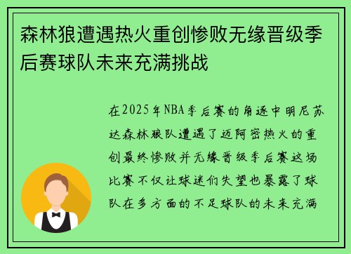 森林狼遭遇热火重创惨败无缘晋级季后赛球队未来充满挑战