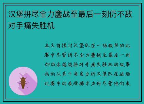 汉堡拼尽全力鏖战至最后一刻仍不敌对手痛失胜机